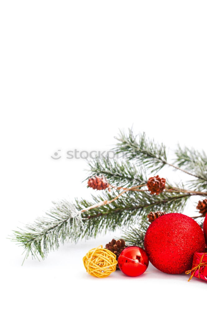 Similar – Image, Stock Photo christmas decoration holly