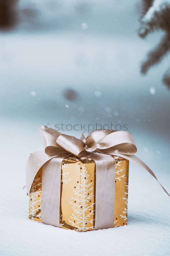 Similar – Image, Stock Photo Christmas present on snow