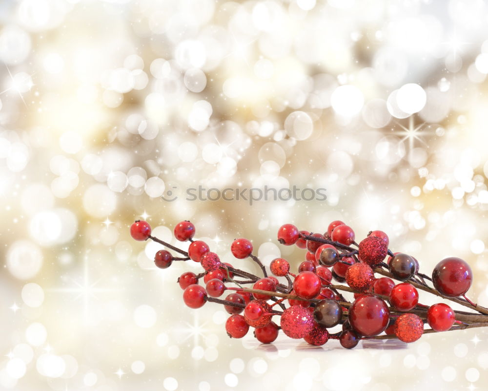 Similar – Image, Stock Photo christmas decoration holly