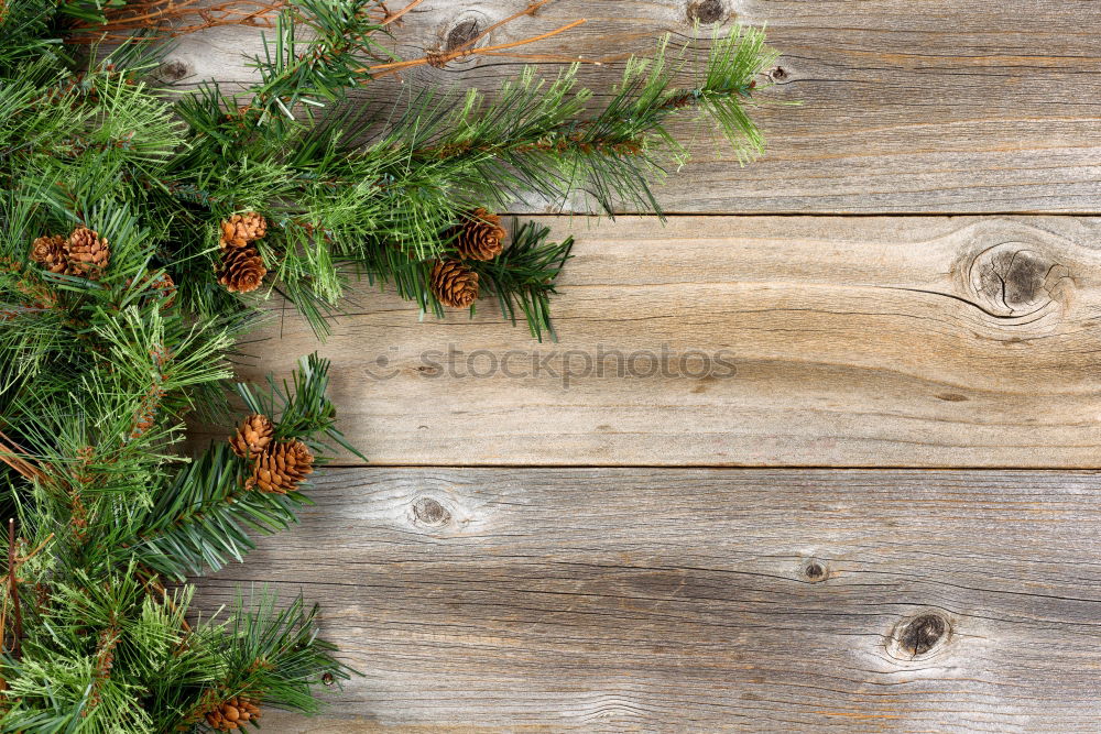 Similar – Image, Stock Photo Crop person cutting twigs