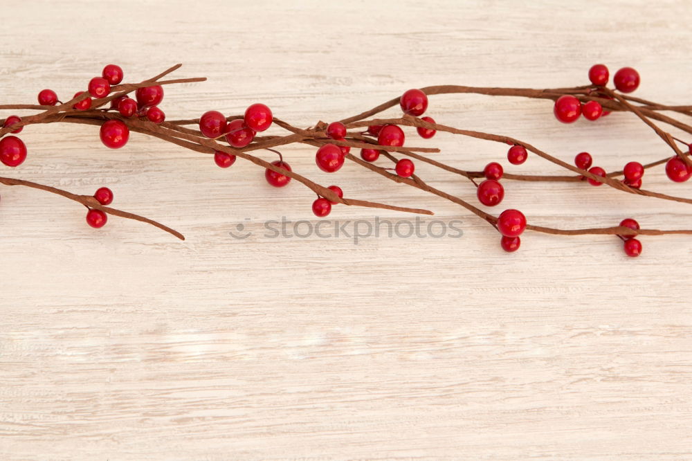 Similar – Image, Stock Photo withered berries Winter