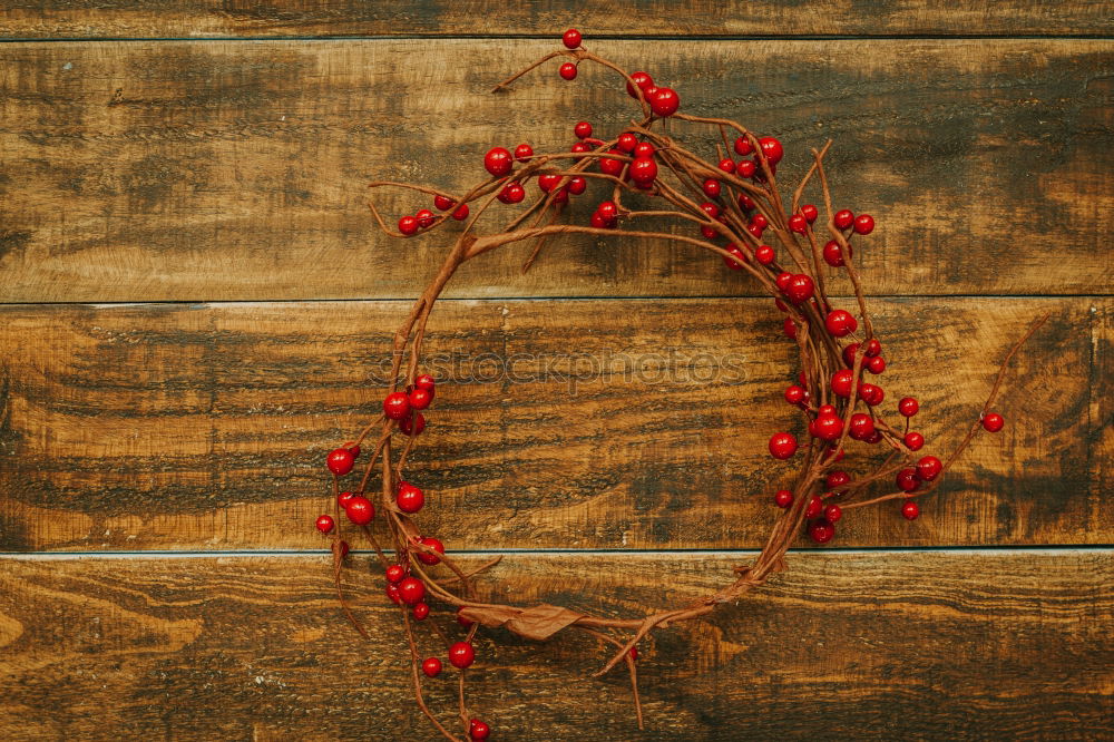 Similar – Weihnachtszweig mit roten Beeren