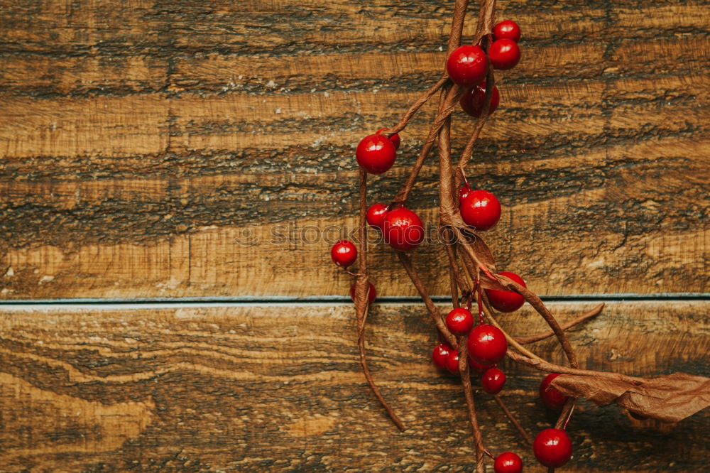 Weihnachtszweig mit roten Beeren