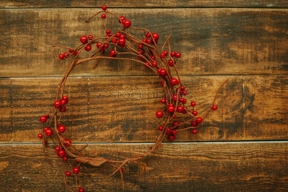 Similar – Weihnachtszweig mit roten Beeren