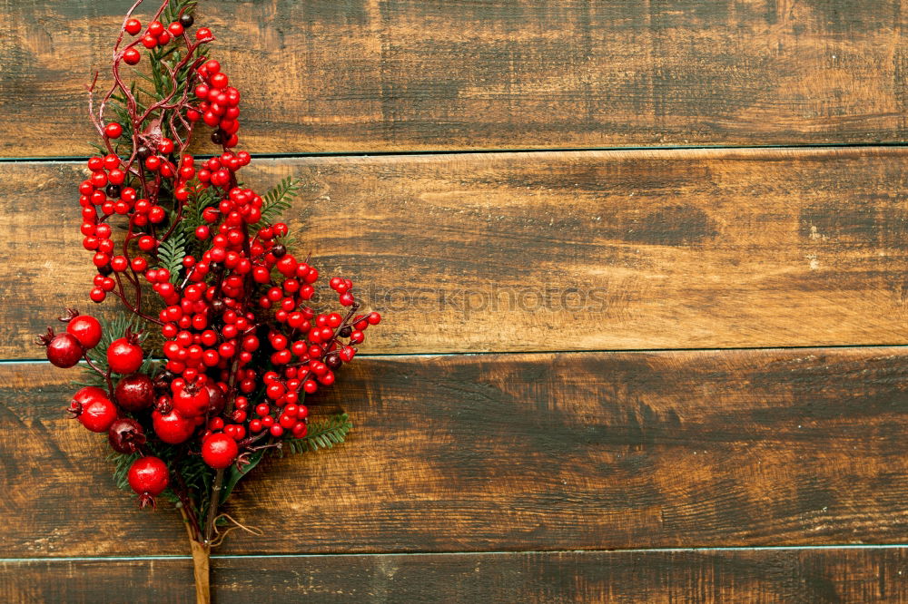 Similar – Image, Stock Photo Delicate Christmas wreath of pine cones on wooden background