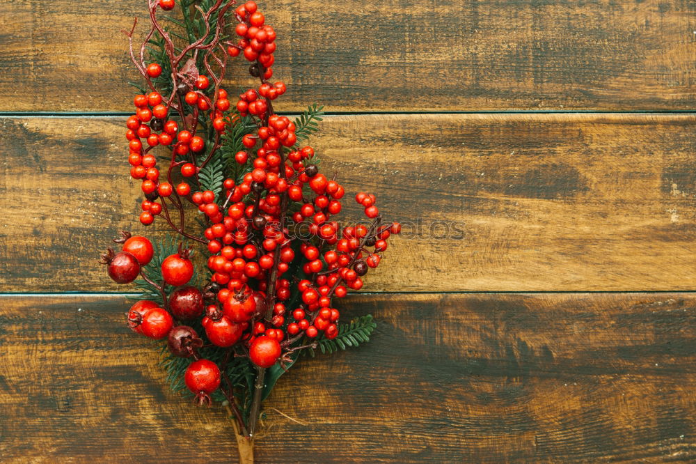 Image, Stock Photo Delicate Christmas wreath of pine cones on wooden background