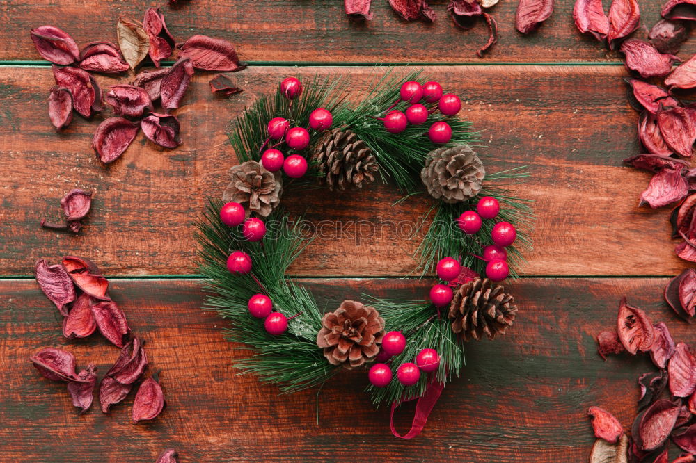 Similar – Red Christmas star with branch of berries