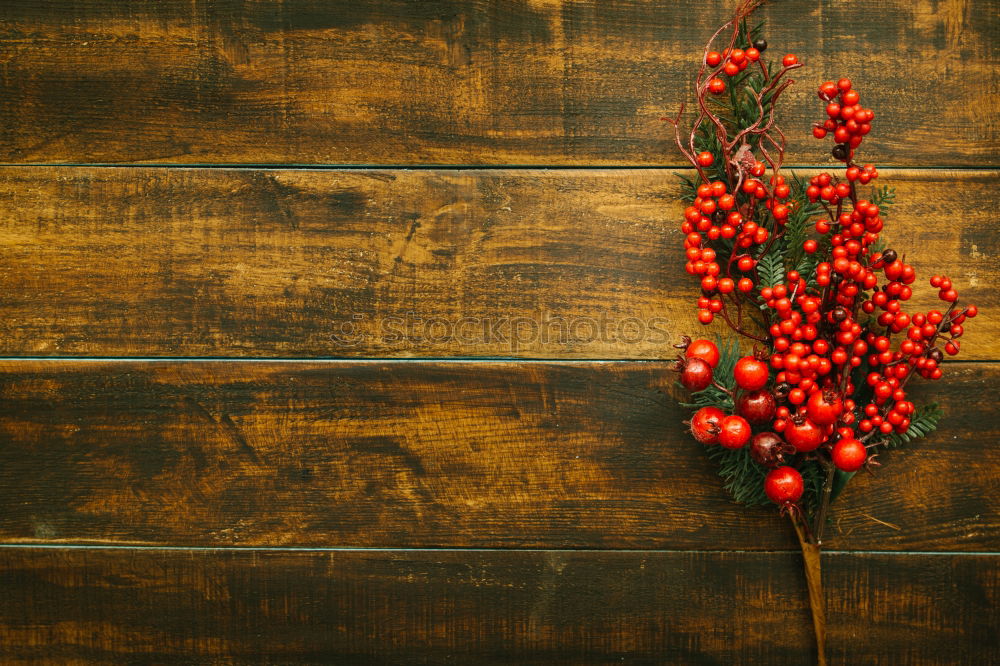 Similar – Weihnachtszweig mit roten Beeren