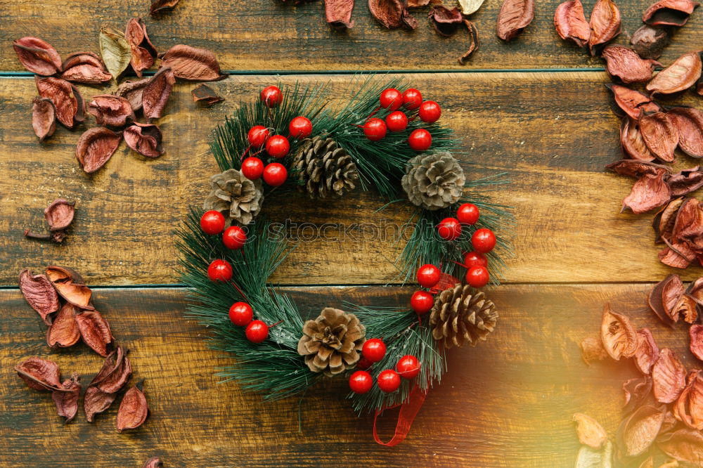 Similar – Red Christmas star with branch of berries