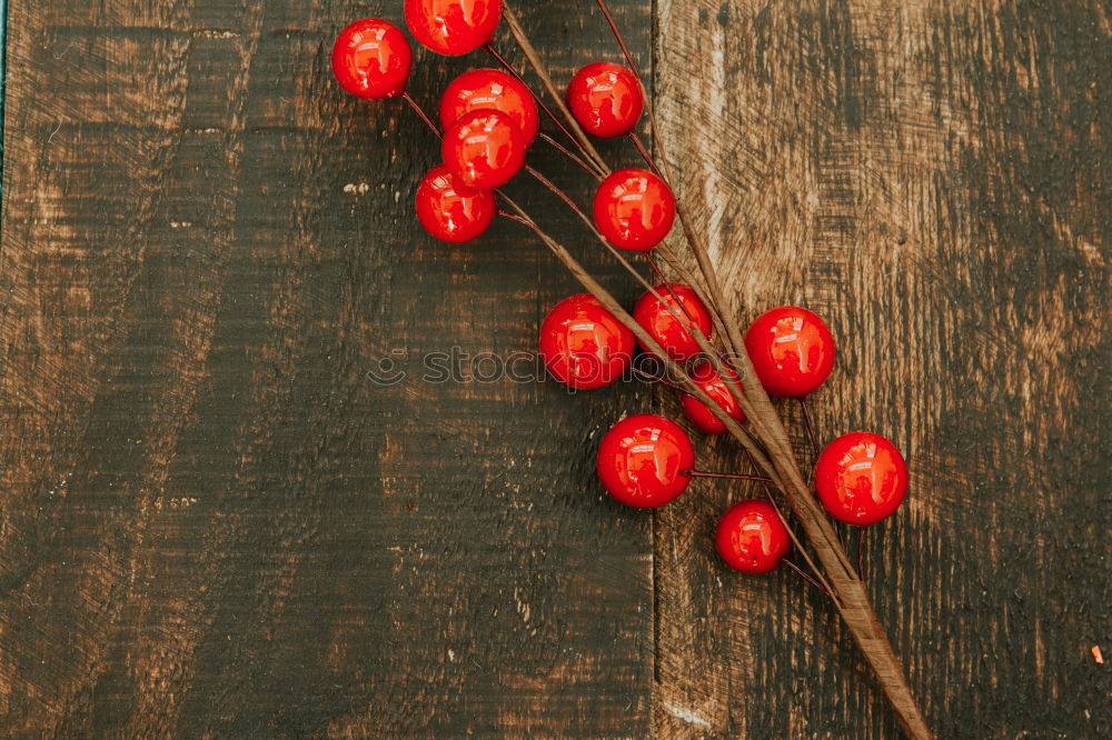 Similar – Weihnachtszweig mit roten Beeren