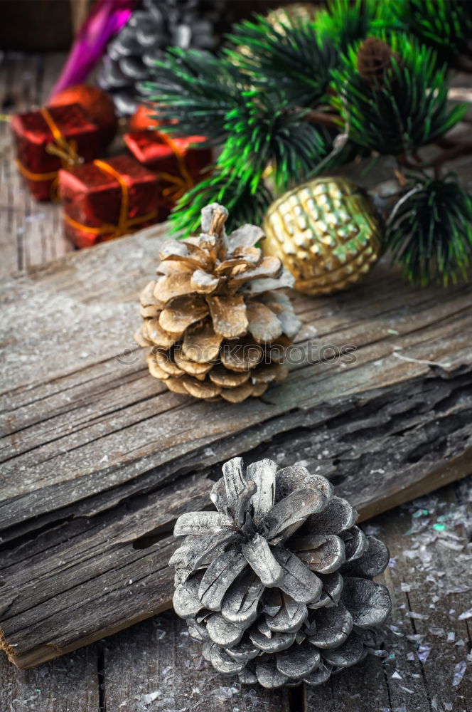 Similar – Image, Stock Photo Christmas decoration in a wood table outdoors