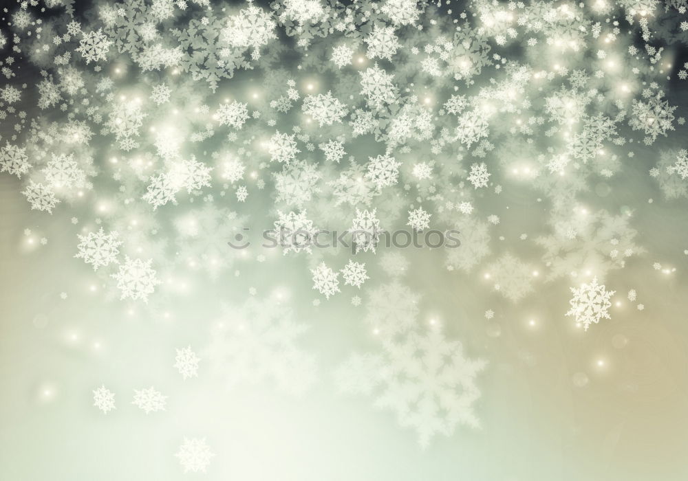 Similar – Winter nature background with fir branches