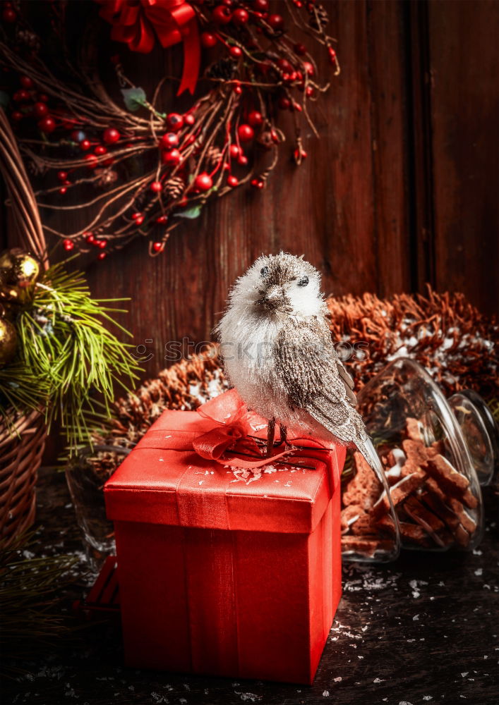 Christmas card with gift, bird and Christmas decoration