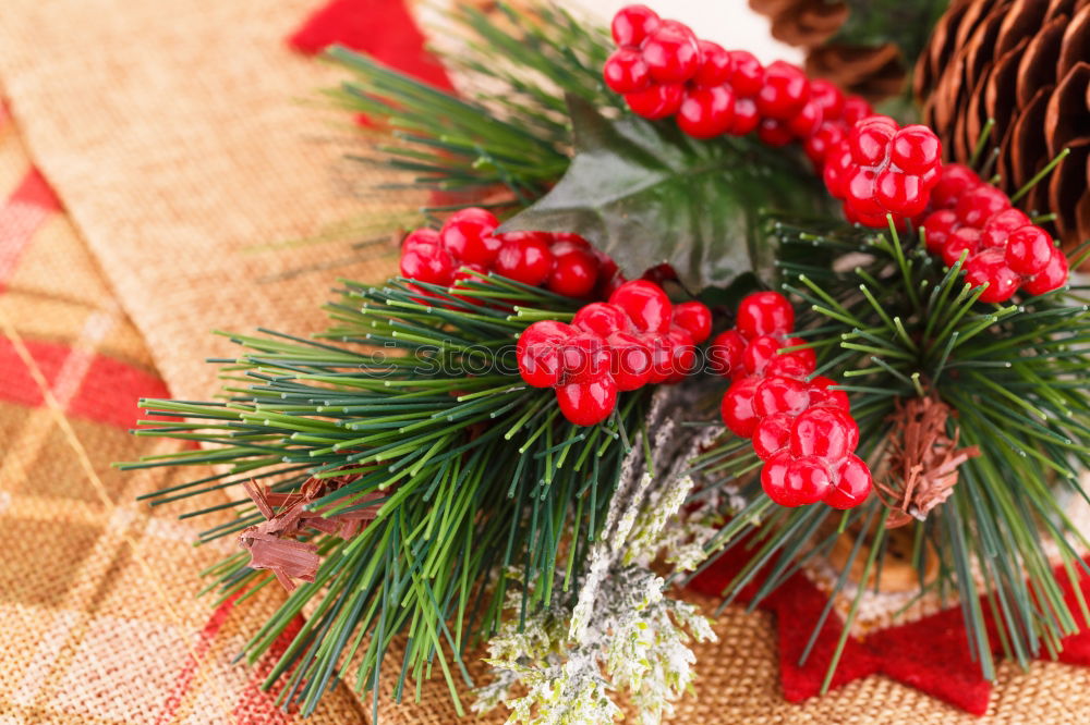 Similar – Image, Stock Photo Surprise l colorful Christmas parcels packed with Christmas paper with red bow, lying on rustic wood. Christmas presents, lie nicely decorated with ribbon on wooden table. Many Christmas parcels packed with wrapping paper with Christmas motif.