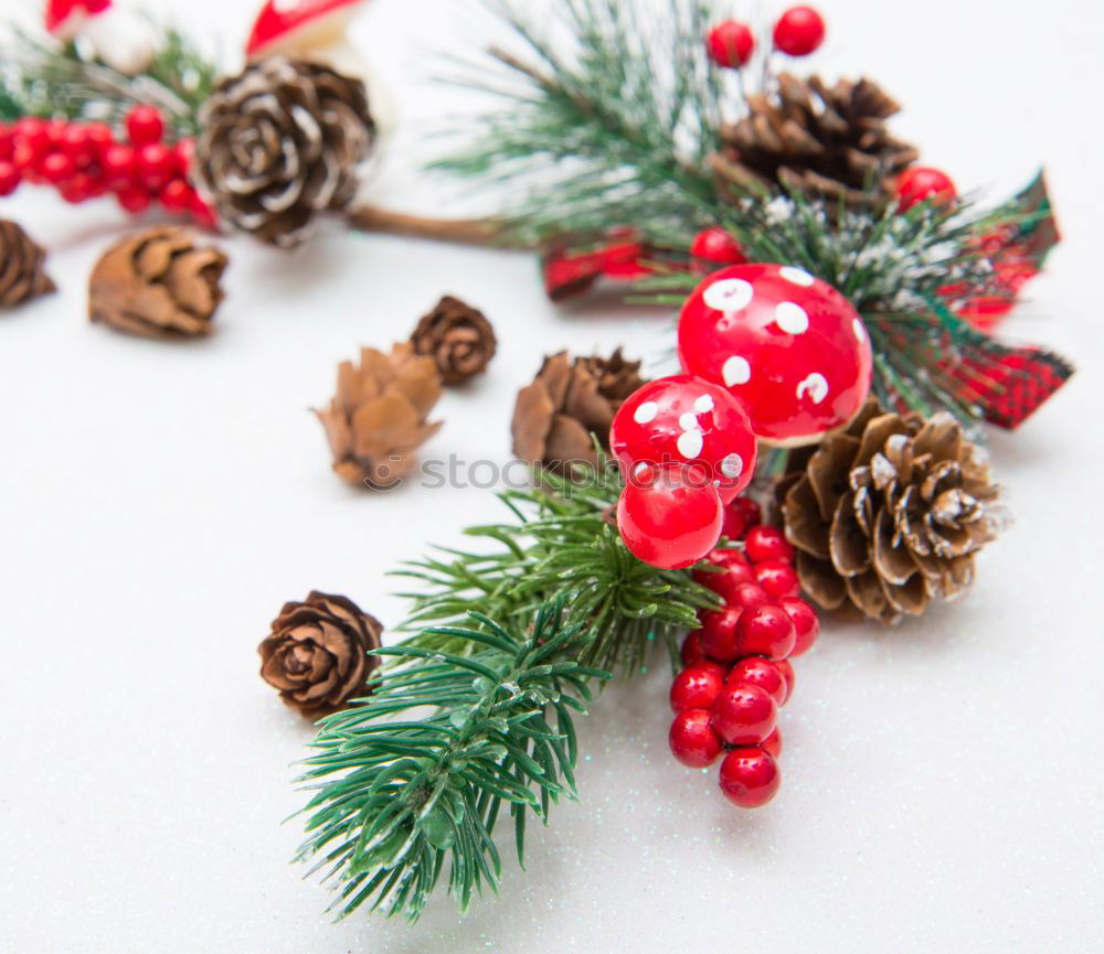 Similar – Image, Stock Photo christmas decoration