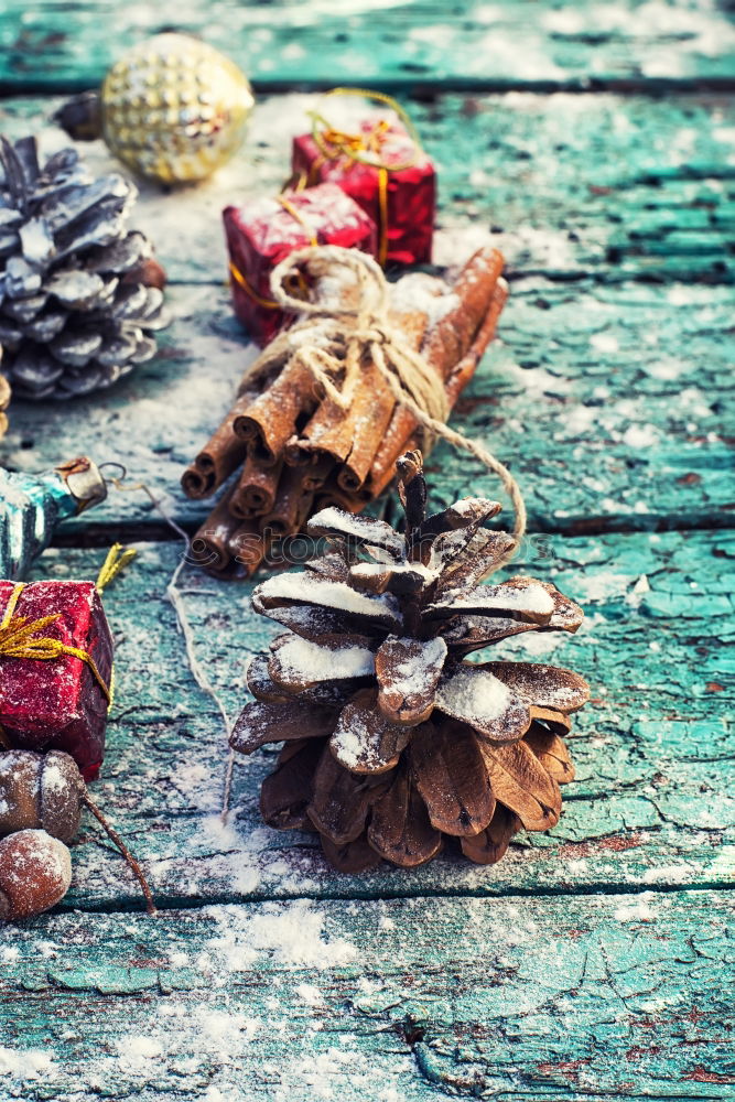 Image, Stock Photo Female hands hold autumn bouquet of flowers
