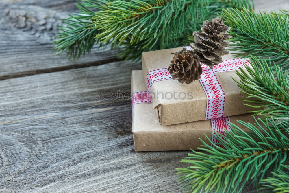 Christmas presents under a tree