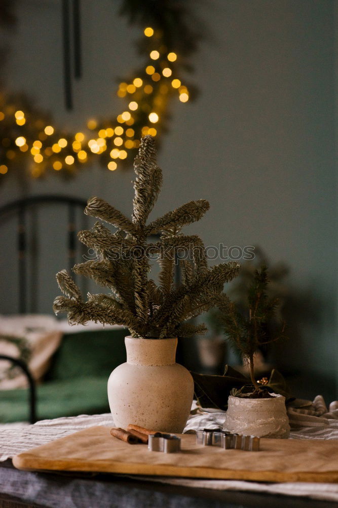 Similar – Rustic, beautiful Christmas decoration with twigs and a Christmas tree ball, on an old vintage table in winter during the Advent season. Christmas decorations with flower pot, tea light, glass vase, plants, cuttings on old stove, outside in the cold, icy garden.