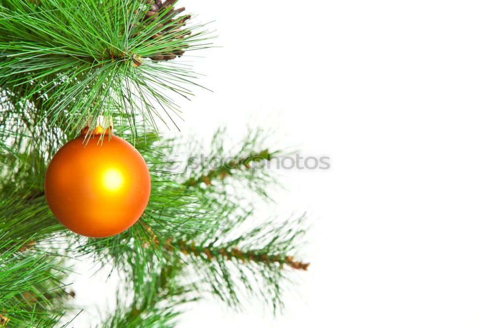 Similar – Image, Stock Photo christmas decoration holly