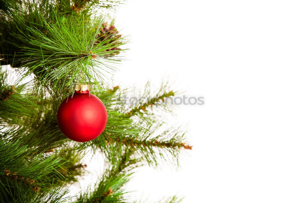 Similar – Image, Stock Photo christmas decoration holly