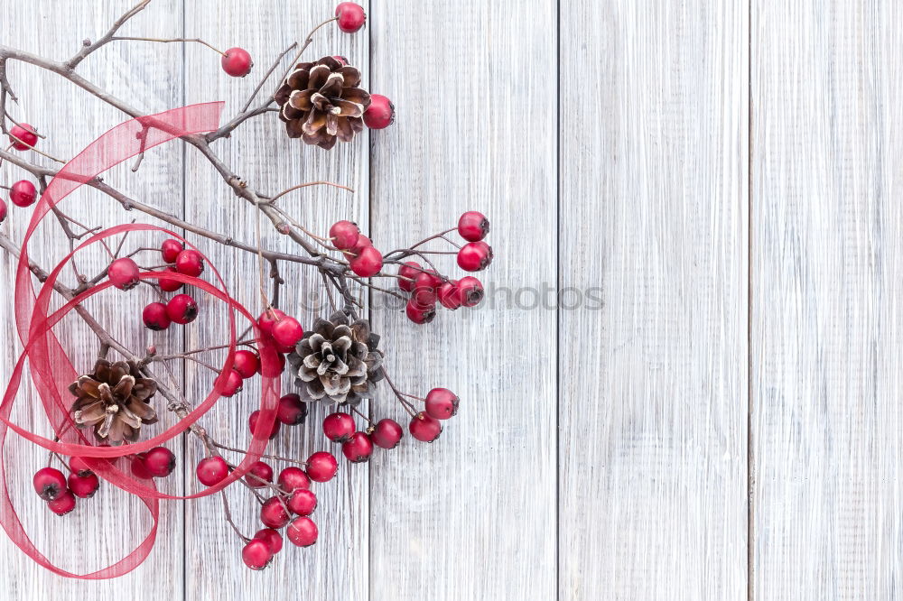 Similar – Wallflower. Fruit