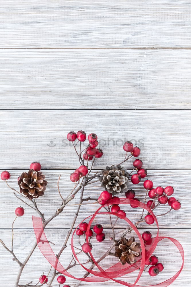 Similar – Wallflower. Fruit