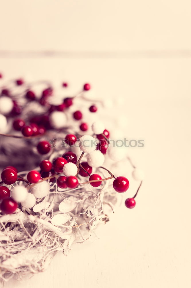 Similar – Image, Stock Photo Blue bowl full of fresh organic cherries on pink background