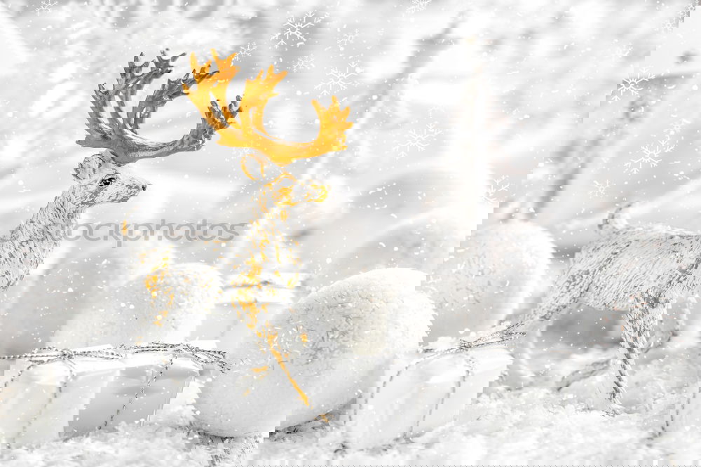 Similar – Image, Stock Photo AKCGDR# Snow track V Art