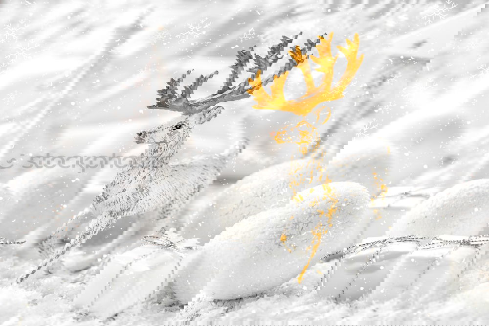 Similar – Image, Stock Photo AKCGDR# Snow track V Art