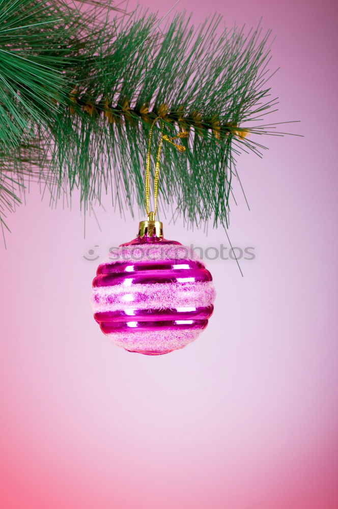 Similar – pink christmas Style