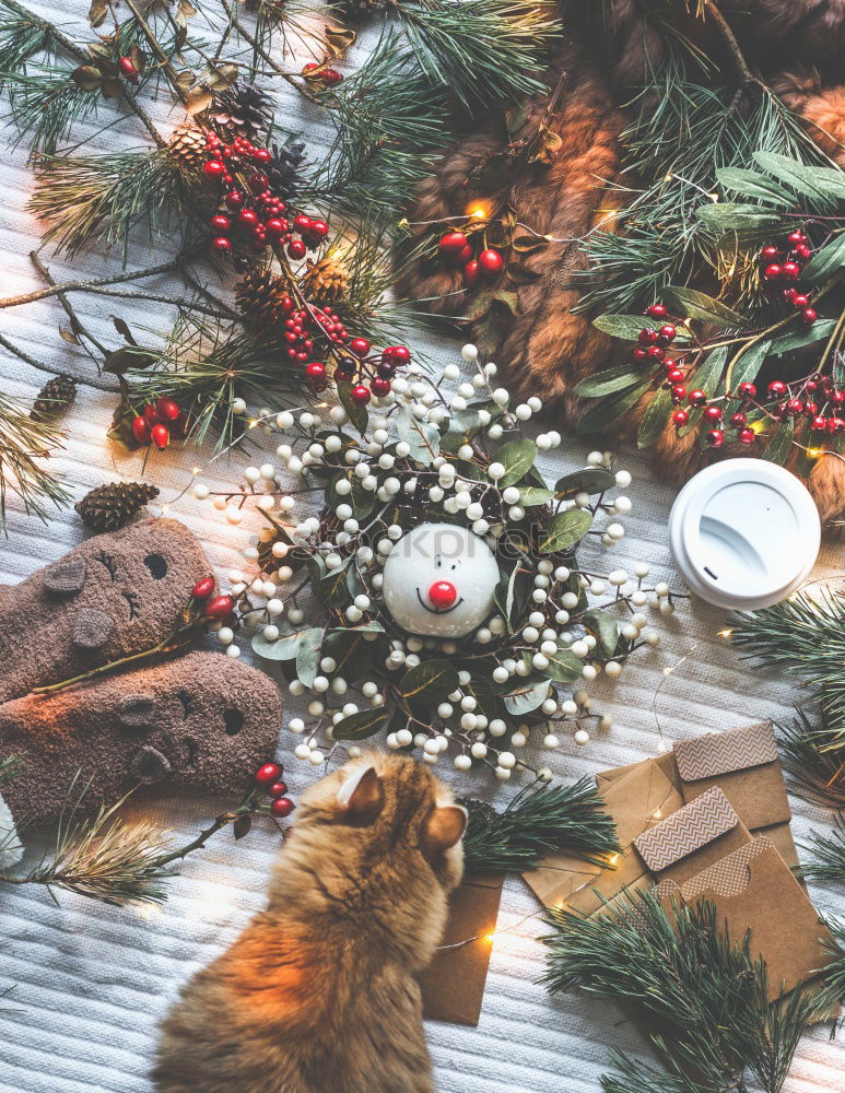 Similar – Rustic, beautiful Christmas decoration with twigs and a Christmas tree ball, on an old vintage table in winter during the Advent season. Christmas decorations with flower pot, tea light, glass vase, plants, cuttings on old stove, outside in the cold, icy garden.