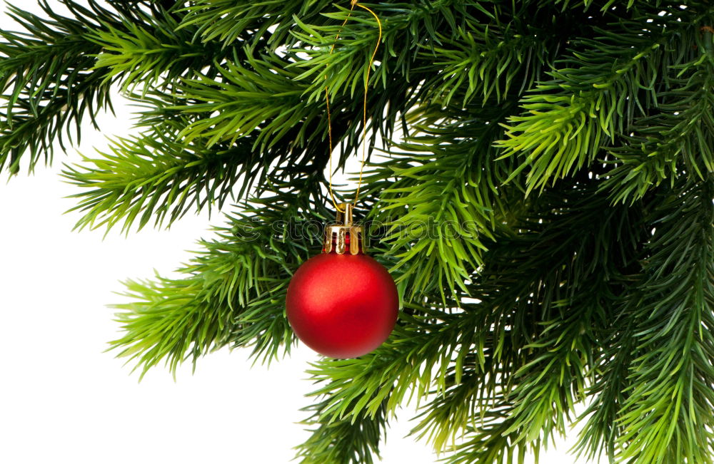 a matt golden Christmas bauble hangs from the branch of a Christmas tree