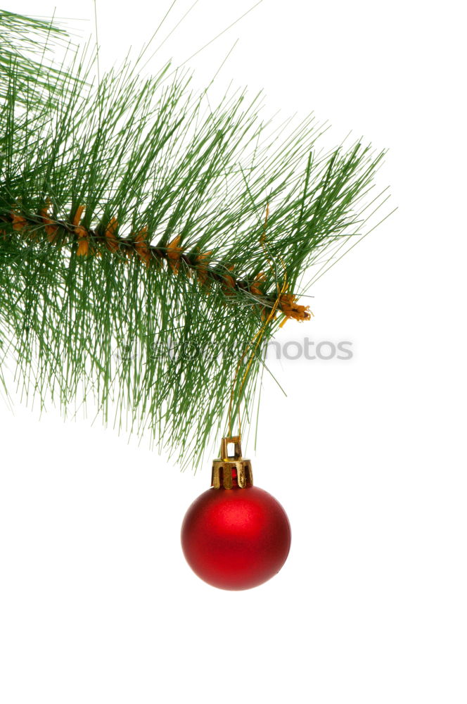 Similar – Image, Stock Photo christmas decoration holly