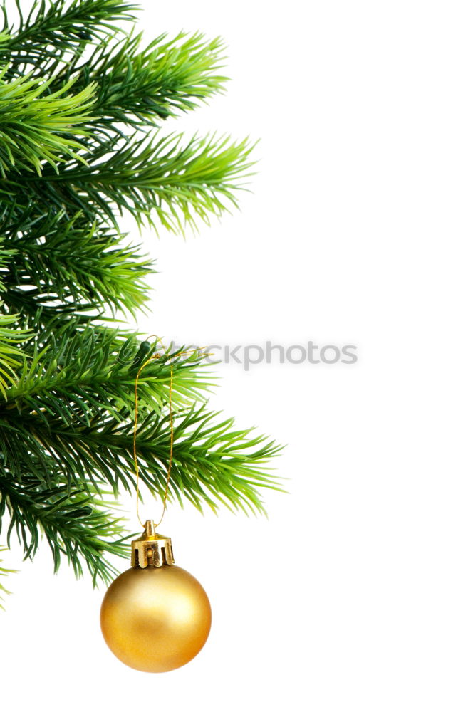 Similar – Image, Stock Photo christmas decoration holly