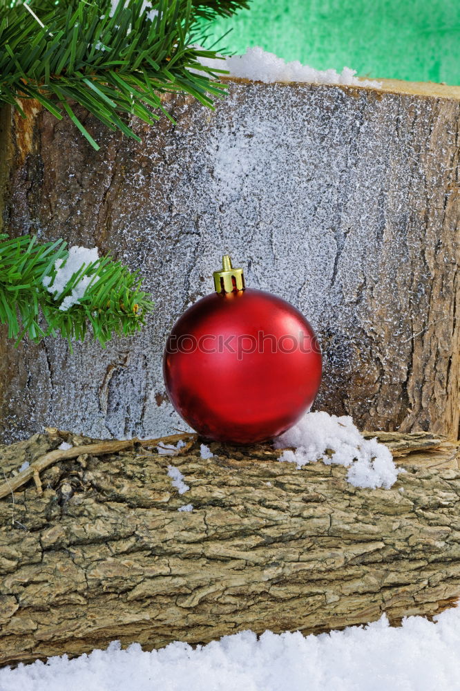 Similar – Image, Stock Photo Knutsdagen Christmas tree