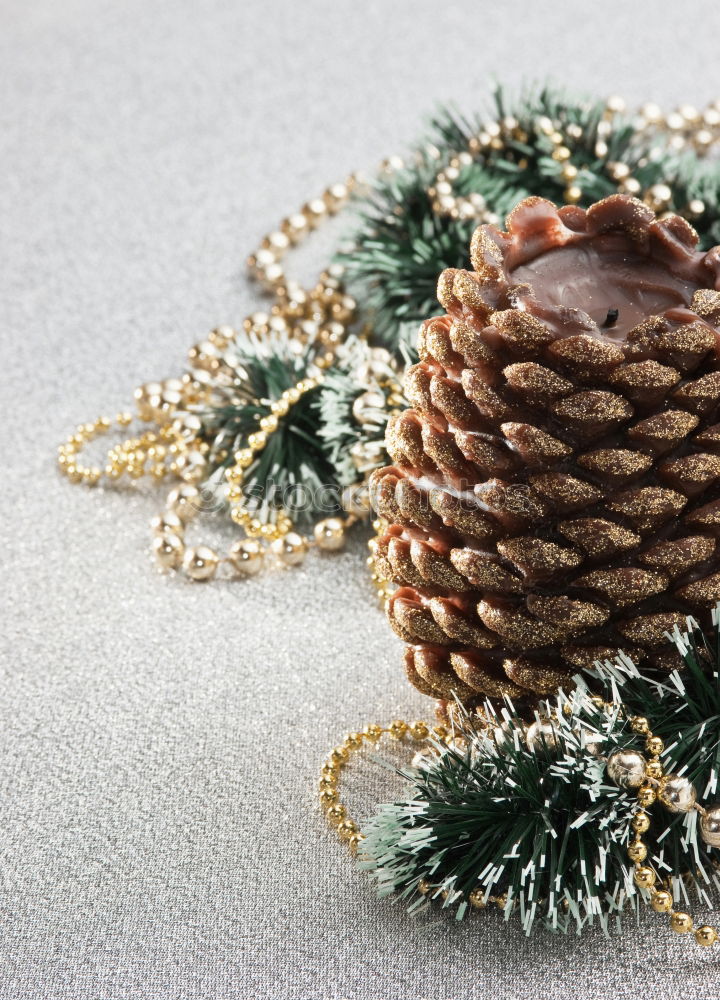 Similar – Image, Stock Photo fir cones Wood Sign