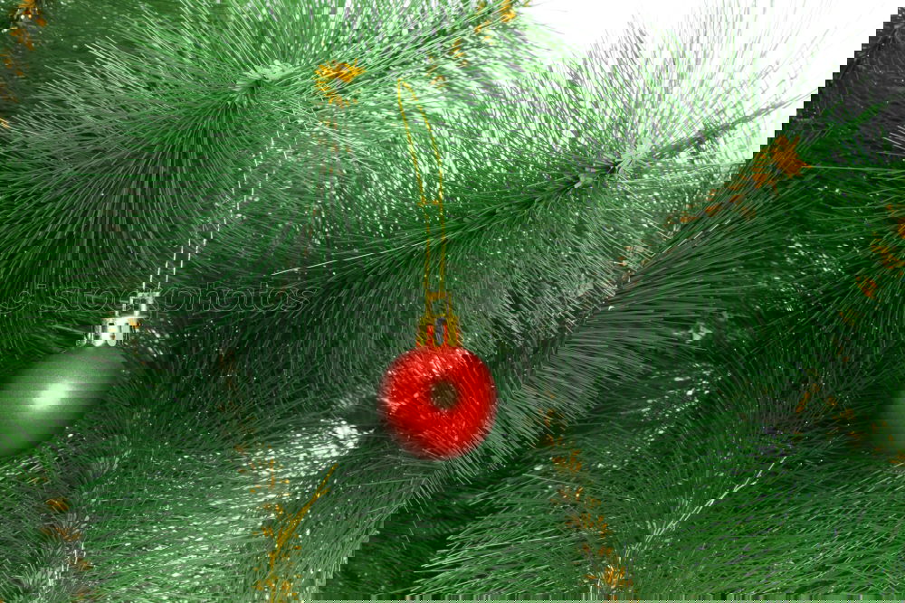 Similar – Image, Stock Photo Christmas fir shape on branch