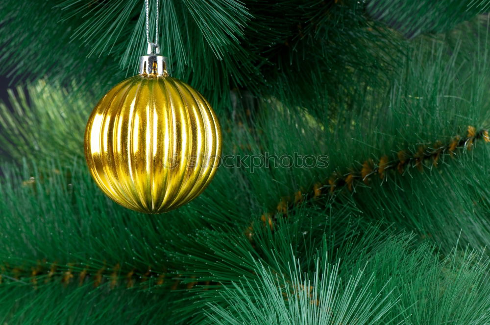 Similar – Image, Stock Photo Christmas fir shape on branch