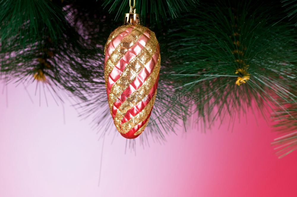 Similar – Image, Stock Photo Red winter star sparkles at Christmas as an advent decoration