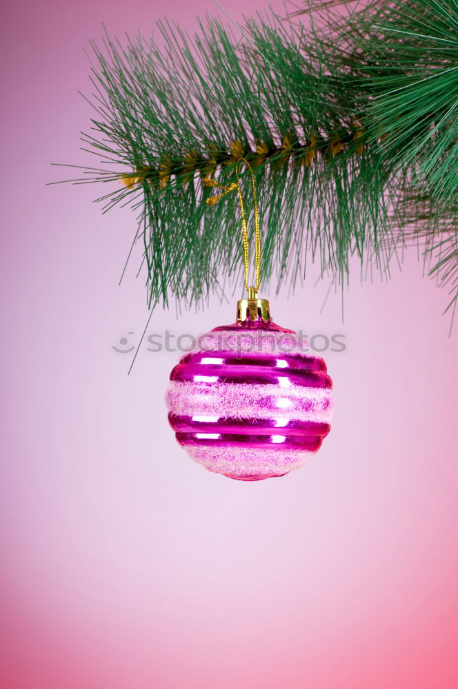 Similar – pink christmas Style