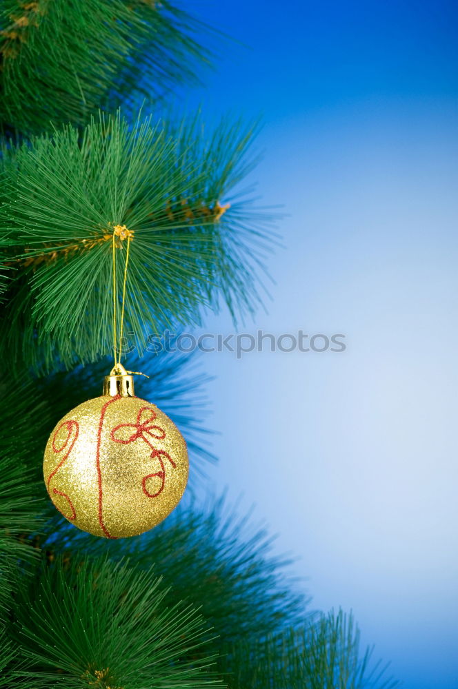 Similar – Oh Tannenbaum Natur Baum