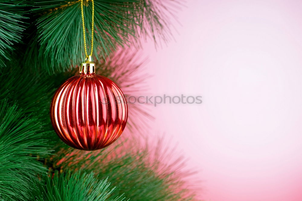 Similar – Image, Stock Photo last christmas… Winter