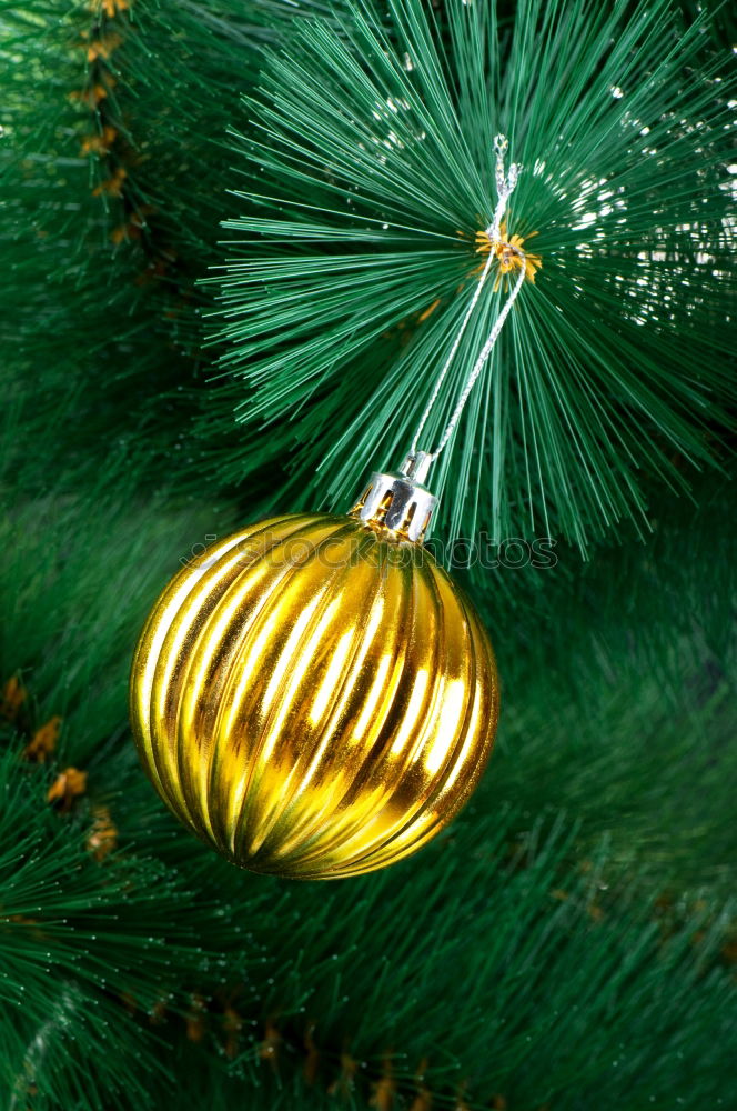 Similar – a matt golden Christmas bauble hangs from the branch of a Christmas tree