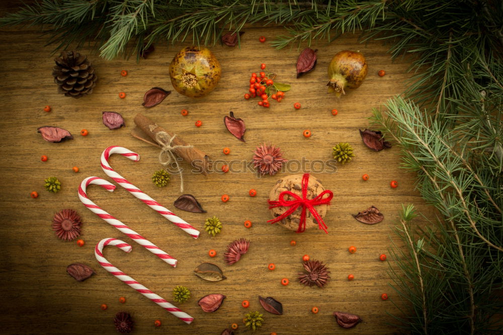 Similar – Image, Stock Photo Woman holding coffee cup next to Christmas decoration