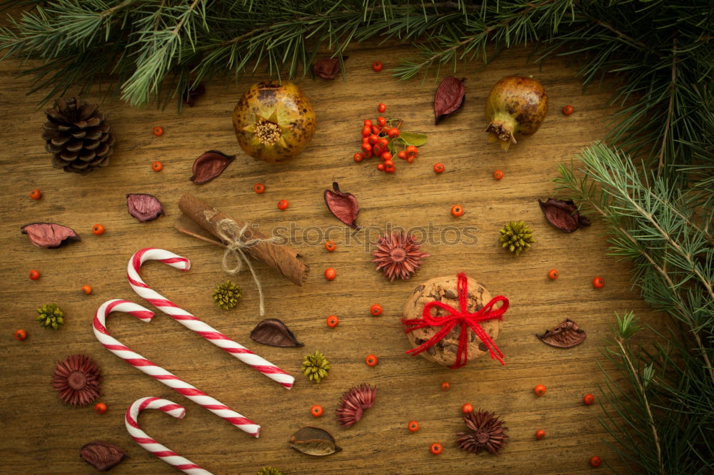 Similar – Image, Stock Photo Woman holding coffee cup next to Christmas decoration