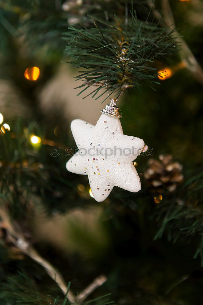 Similar – for christmas! Stars Hang