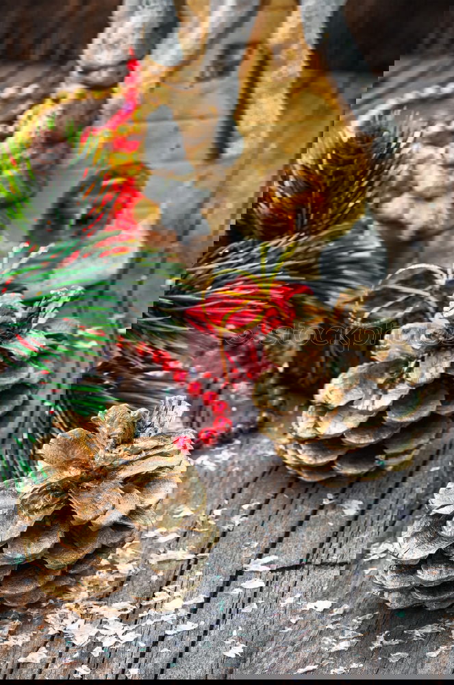 Similar – Image, Stock Photo Christmas Background Calm