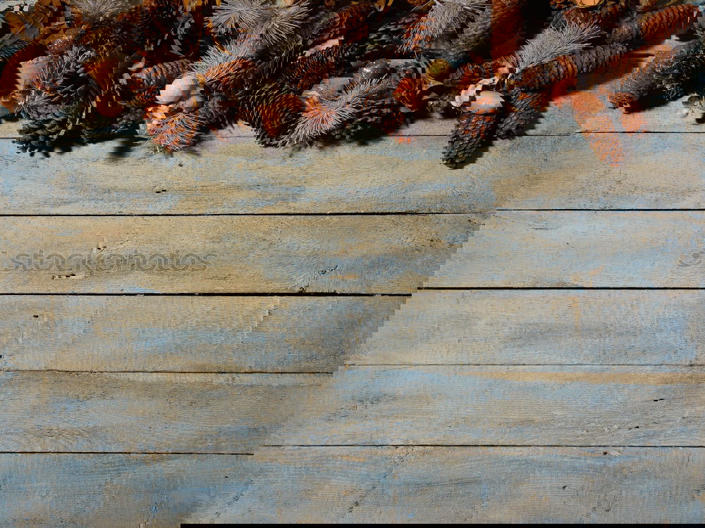 Similar – Image, Stock Photo set aside Wood Balcony