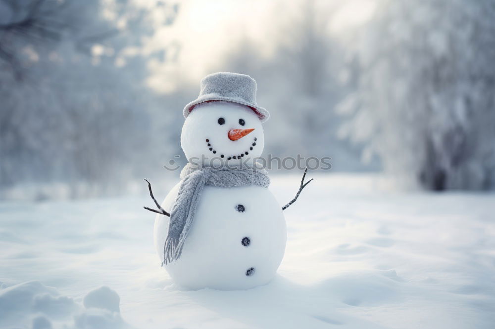 Similar – Image, Stock Photo snowman II Nature Winter