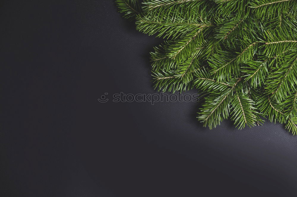 Image, Stock Photo for christmas two thousand and eight